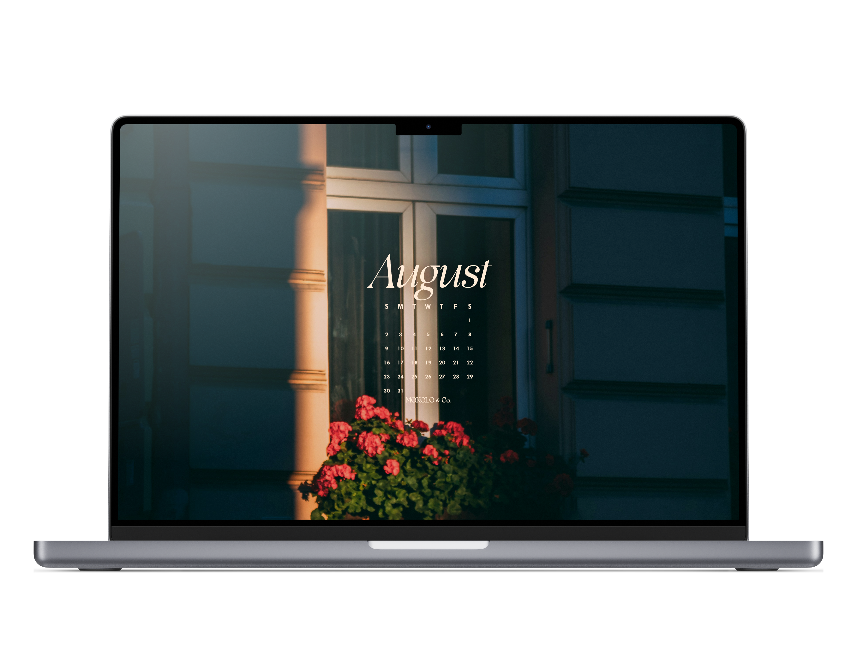 August 2026 Wallpapers