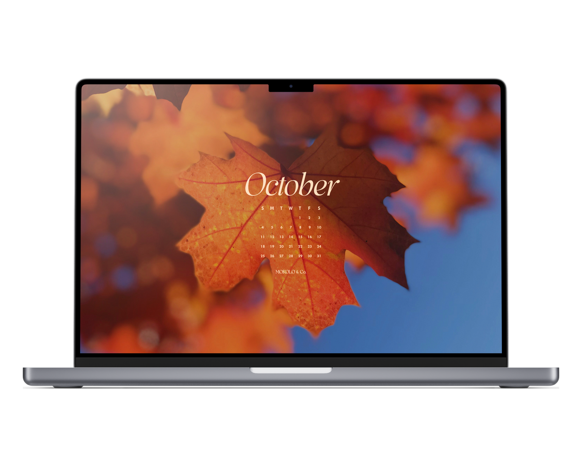 Back Rounds For Notebook October 2026 Wallpapers – MOKOLO & Co.