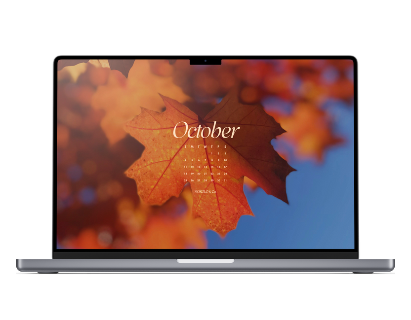 Back Rounds For Notebook October 2026 Wallpapers – MOKOLO & Co.